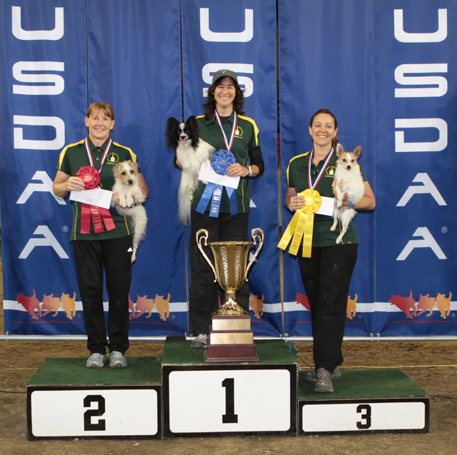 2011 Cynosports Steeplechase Champion